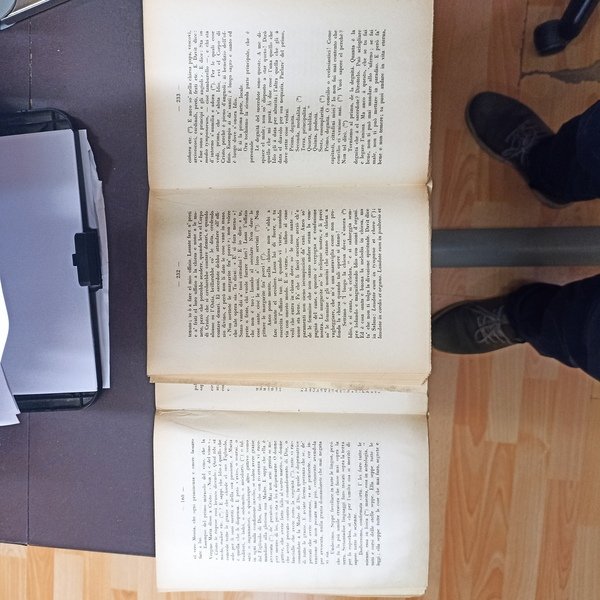 Le prediche volgari. Vol.I e II. Predicazione del 1425 in …