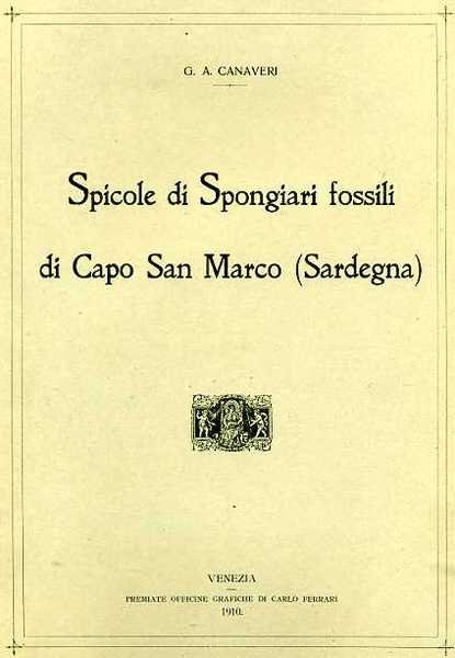 Spicole di Spongiari fossili di Capo San Marco (Sardegna).