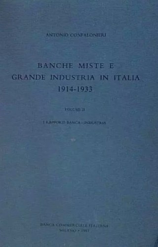 Banche miste e grande industria in Italia 1914-1933. Vol.II:I rapporti …