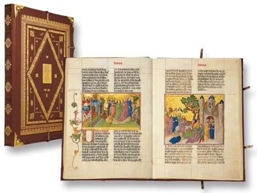 Die Ottheinrich Bibel. La bibbia di Ottone Enrico.