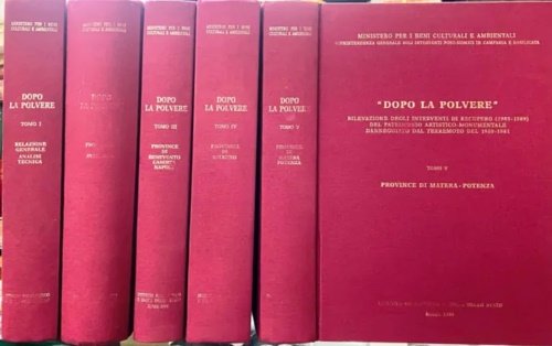 Dopo la polvere. Rilevazione degli interventi di recupero (1985-1989) del patrimonio artistico-monumentale danneggiato dal terremoto del 1980-1981. vol.I: Relazione generale ed analisi tecnica. vol.II: Provincia di Avellino. vol.III: Province di Benevento Caserta Napoli. vol.IV: Provincia di Salerno. vol.V: Province di Matera Potenza.