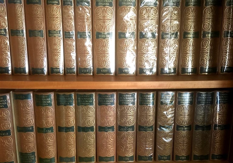 Grande Dizionario della Lingua Italiana. Completo A-Z, 21 VOLUMI,+ Aggiornamento 2004, + indice, + aggiornamento 2009. Tutto il pubblicato.