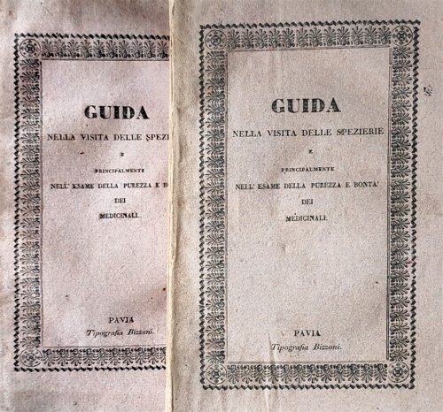 Guida nella visita delle spezierie e principalmente nell'esame della purezza …