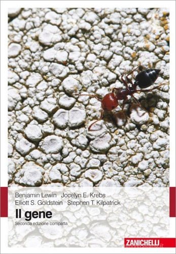Il gene.