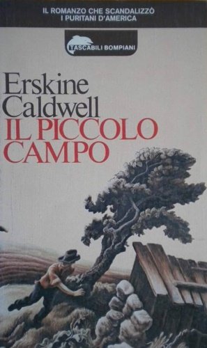 Il piccolo campo.