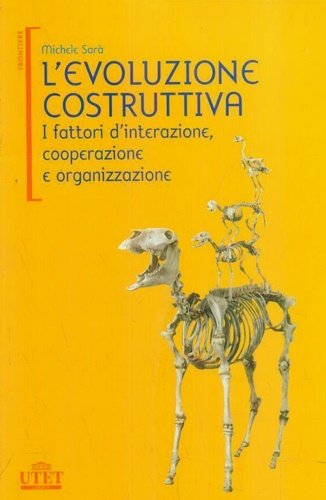 L' evoluzione costruttiva. I fattori d'interazione, cooperazione e organizzazione.