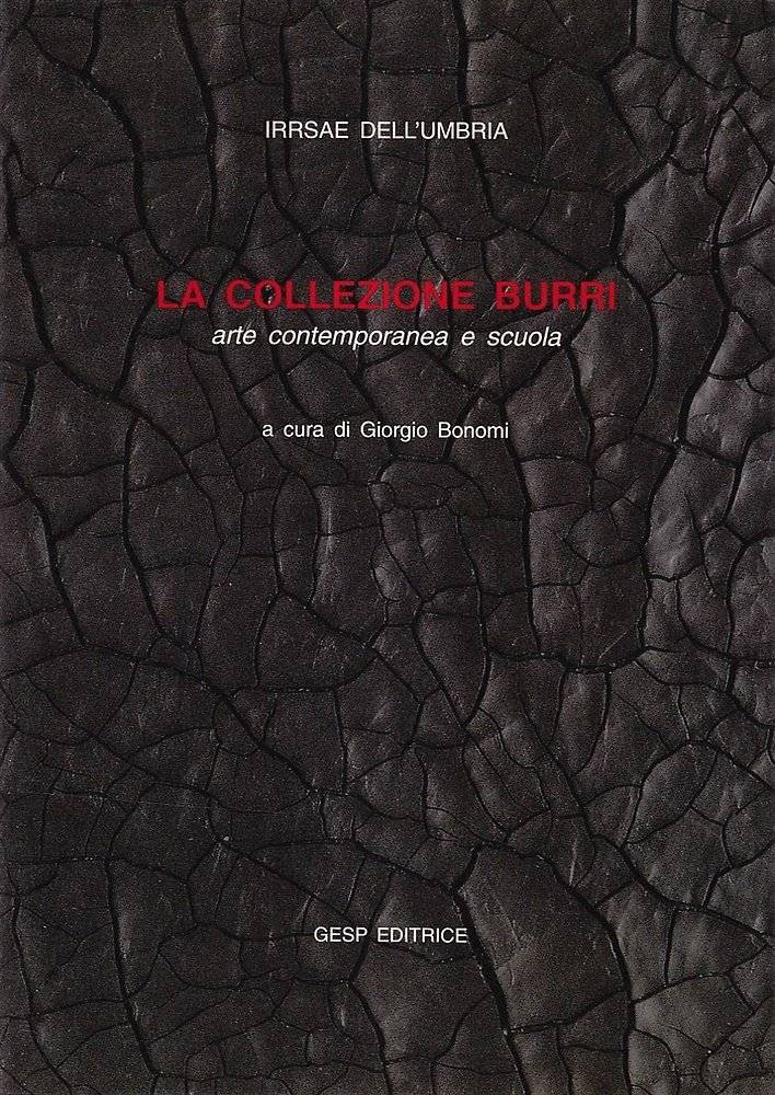 La Collezione Burri. Arte contemporanea e scuola. Scritti di Angelo … | Immagine principale
