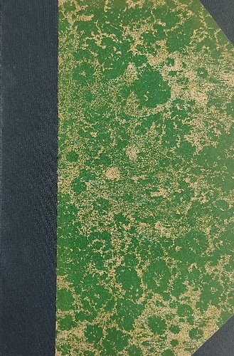 La maschera celeste. Romanzo contemporaneo. | Immagine principale