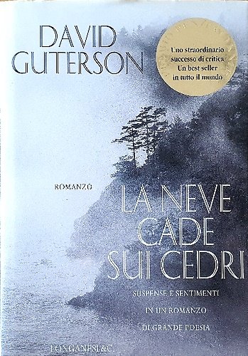 La neve cade sui cedri.