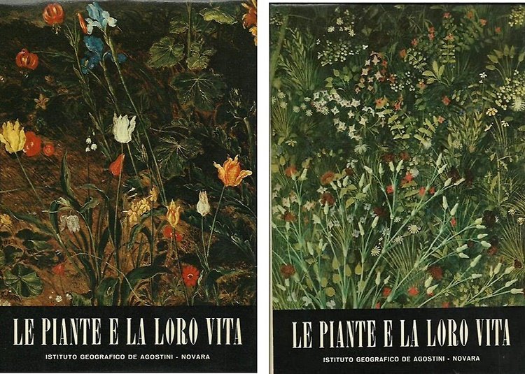 Le piante e la loro vita.