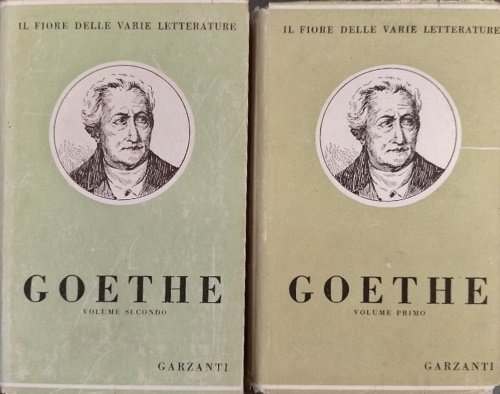 Opere. Vol.I: I dolori del giovane Werther. Poesie. Divano occidentale- …