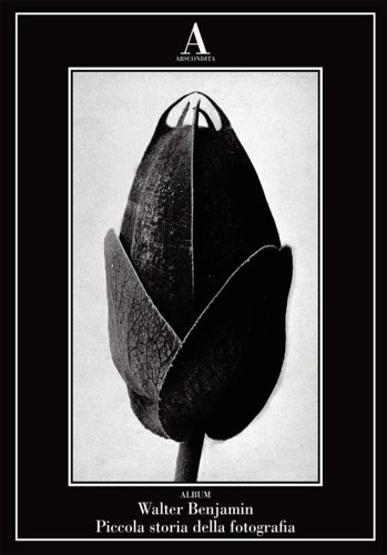 Piccola storia della fotografia.