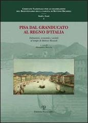 Pisa dal granducato al Regno d'Italia. Istituzioni, economia e società …