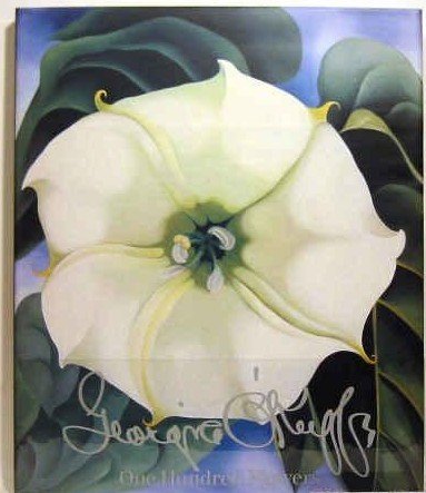 Georgia O'Keeffe - One Hundred Flowers - Fleurs