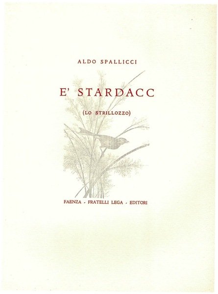 STARDACC (LO STRILLOZZO) (E')