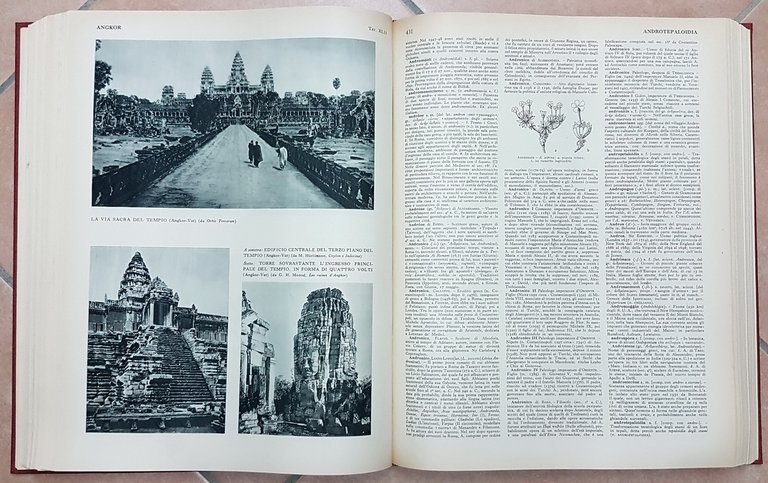 DIZIONARIO ENCICLOPEDICO ITALIANO