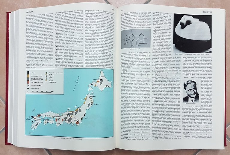 DIZIONARIO ENCICLOPEDICO ITALIANO