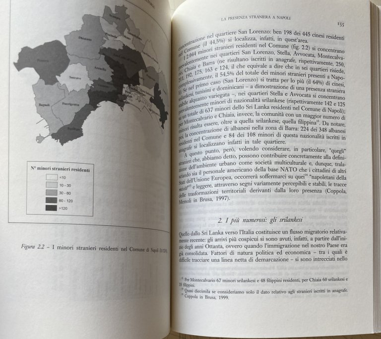 GEOGRAFIE DELL'IMMIGRAZIONE. SPAZI MULTIETNICI NELLE CITTÀ: IN ITALIA, CAMPANIA, NAPOLI