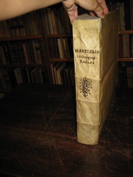 M. Valerii Martialis Epigrammaton Libri Omnes, novis Commentariis, multa cura, …