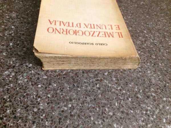 Il Mezzogiorno e l' Unità d' Italia