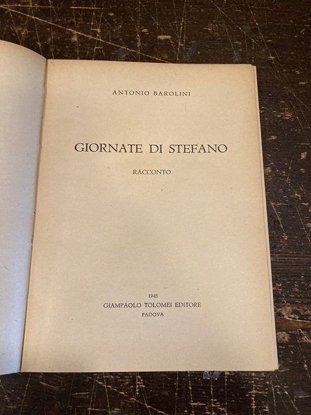 Giornate di Stefano. Racconto