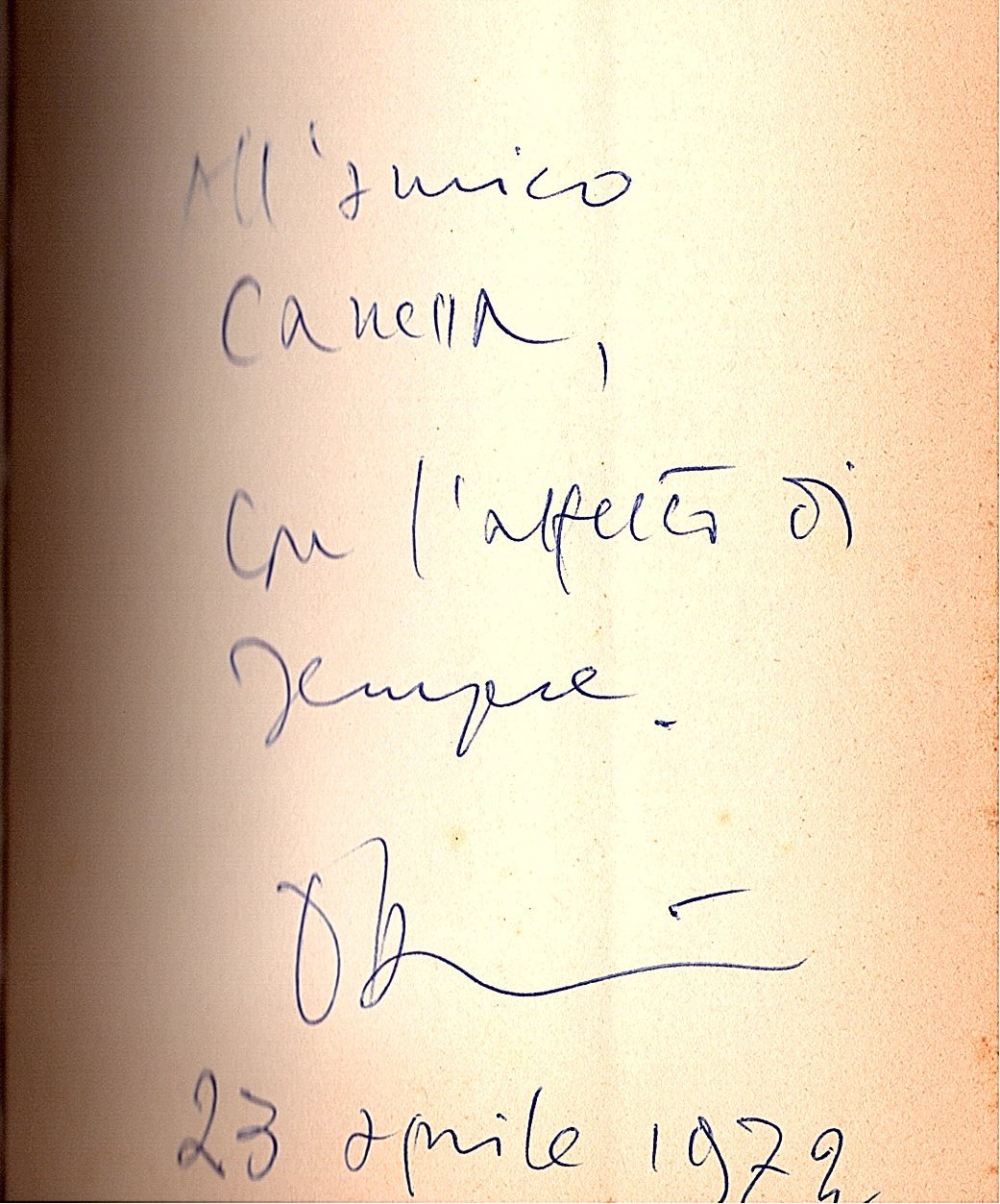 Aghi di pino | Immagine principale