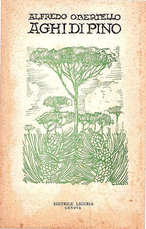 Aghi di pino | Immagine Gallery 2