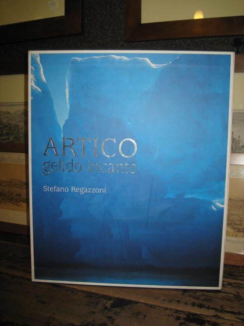 Artico gelido incanto