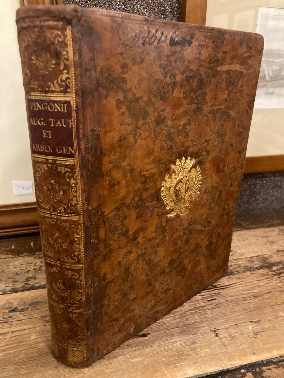 Augusta Taurinorum - Inclytorum Saxoniae, Sabaudiaeque Principum Arbor Gentilitia | Immagine principale
