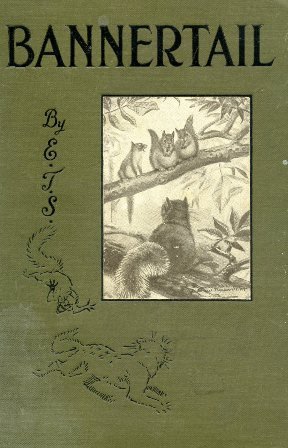 Bannertail. The story of a gray squirrel. With 100 Drawings … | Immagine principale