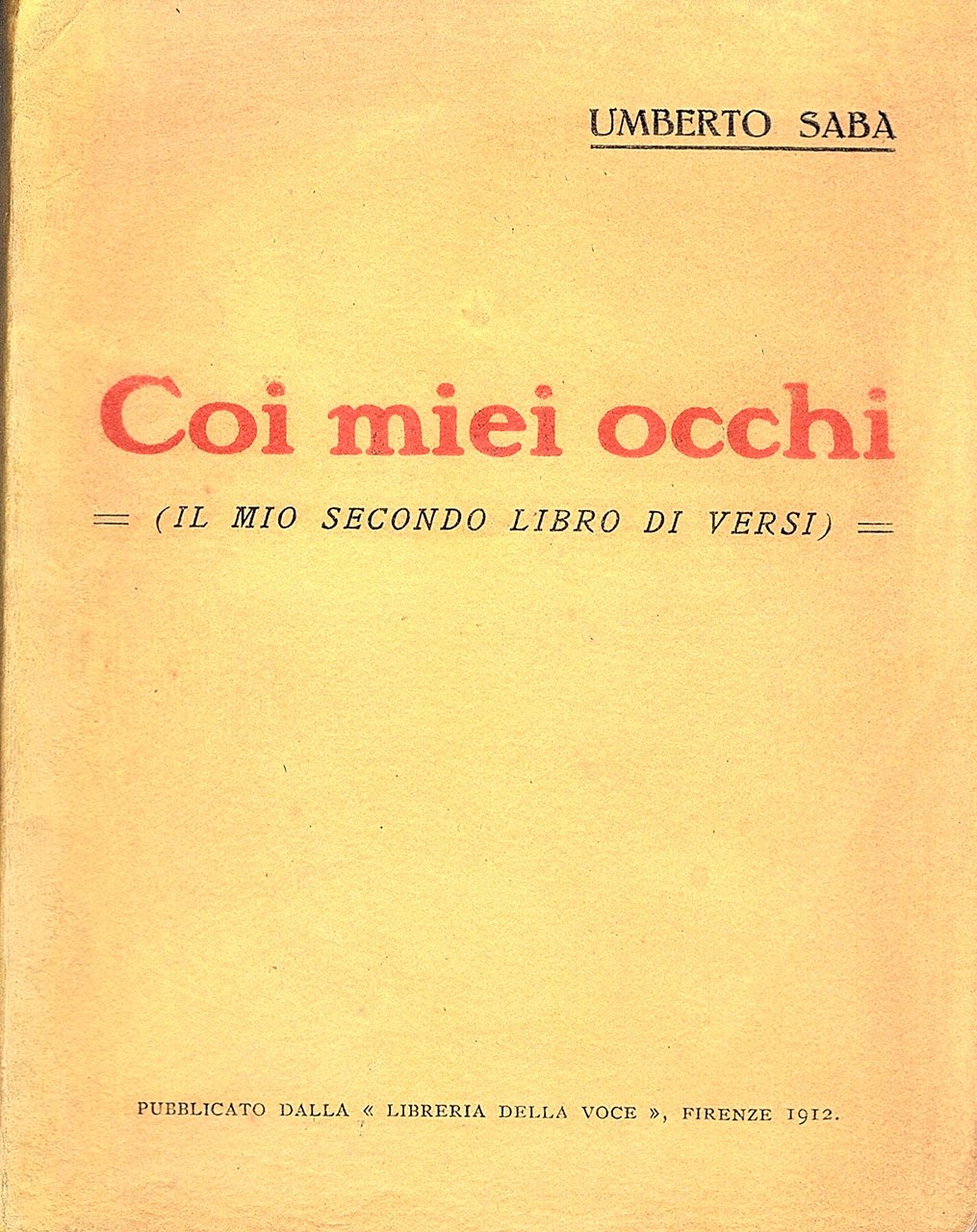 Coi miei occhi. Il mio secondo libro di versi,