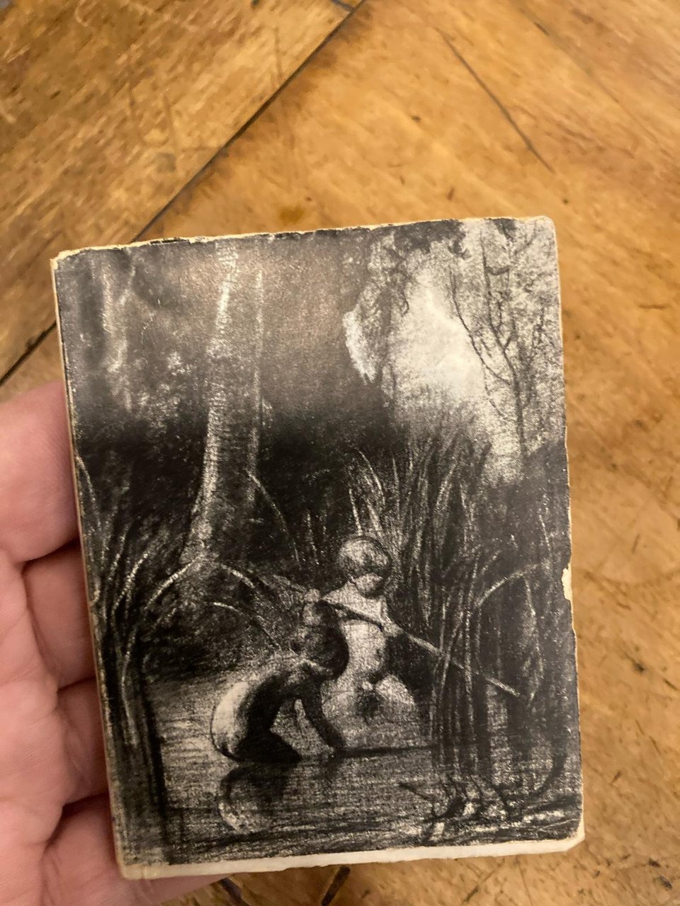 Disegni di Fontanesi