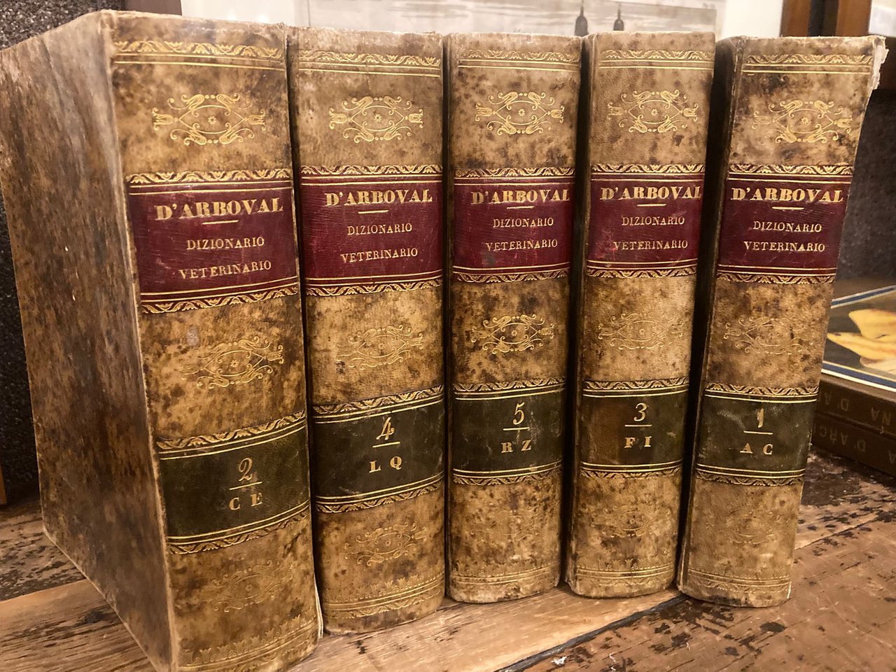 Dizionario di medicina, chirurgia ed igiene veterinaria utile ai veterinari, …