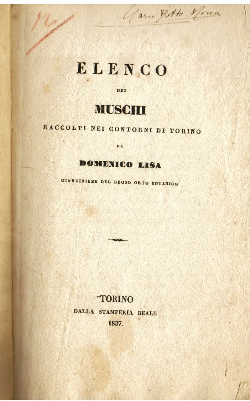 Elenco dei muschi raccolti nei contorni di Torino