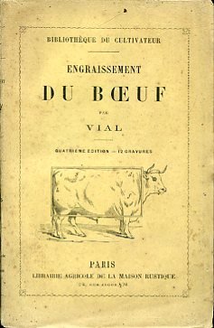 Engraissement du boeuf