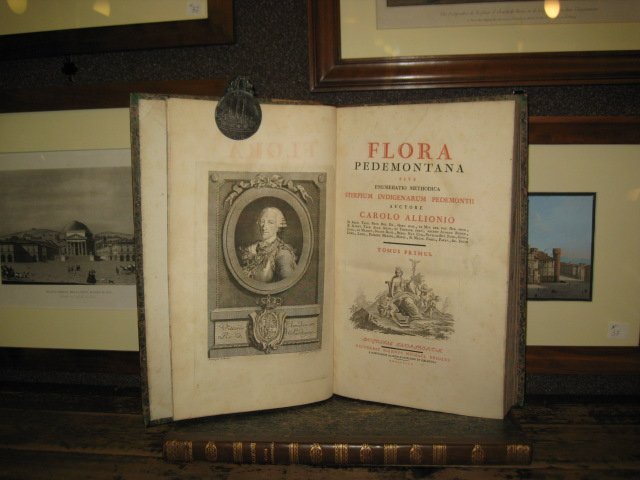 Flora Pedemontana, sive enumeratio methodica Stirpium indigenarum Pedemontij