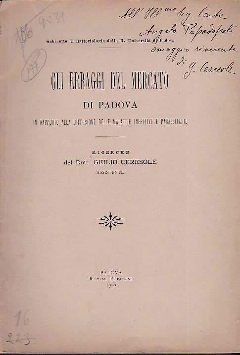 Gli erbaggi del mercato di Padova in rapporto alla diffusione … | Immagine principale