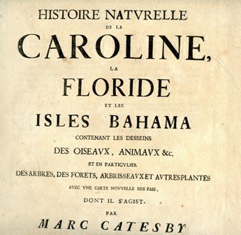 Histoire Naturelle de la Caroline, la Floride et les Isles …