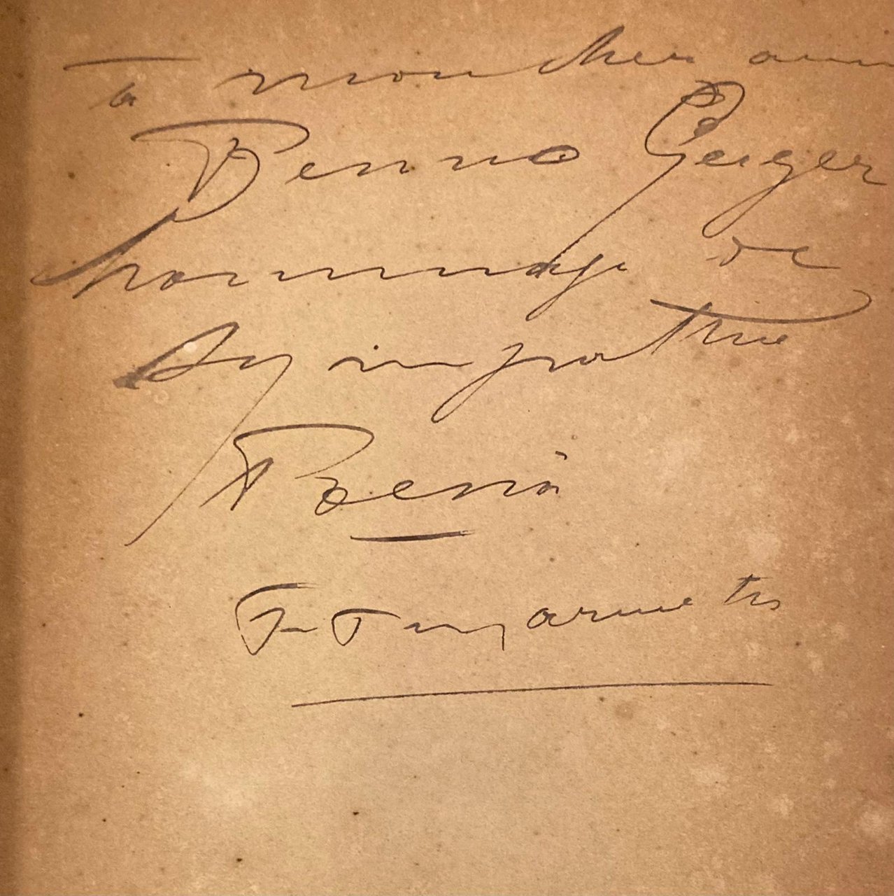 I cavalli bianchi | Immagine principale