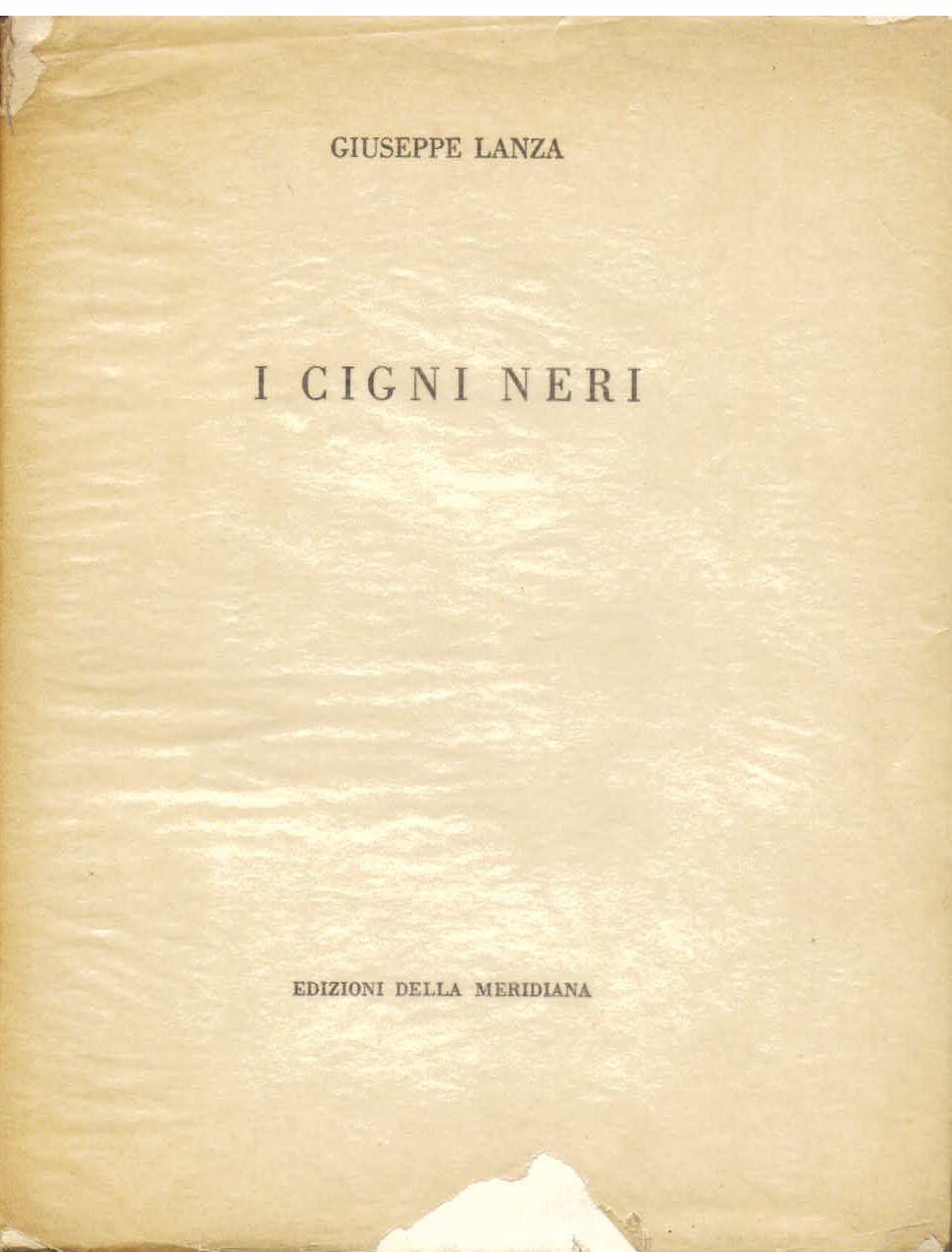 I cigni neri