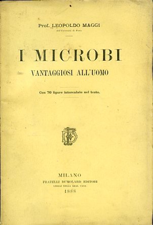 I microbi vantaggiosi all'uomo