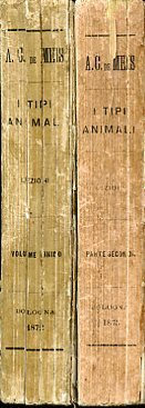 I tipi animali. Lezioni