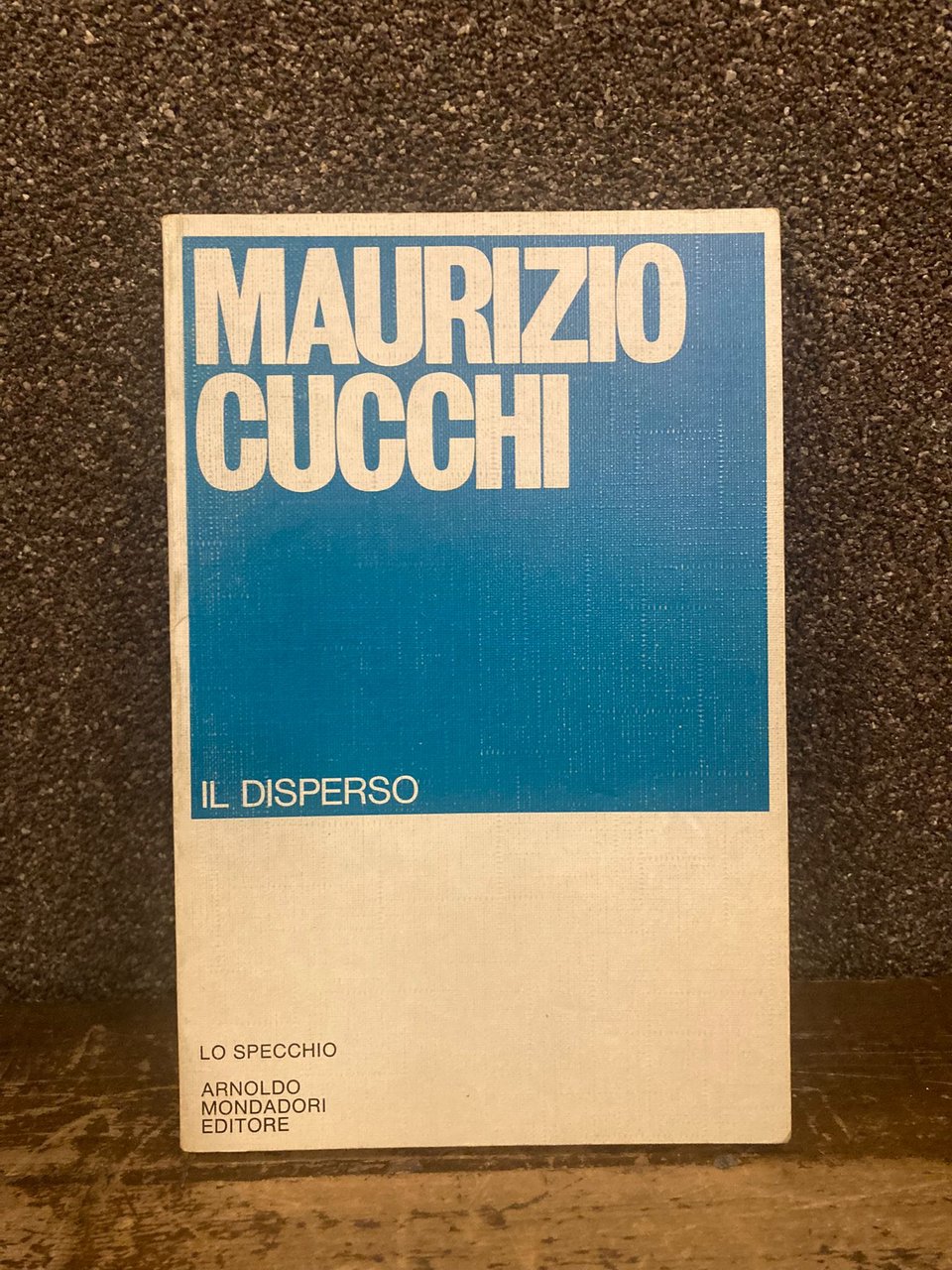 Il disperso | Immagine principale