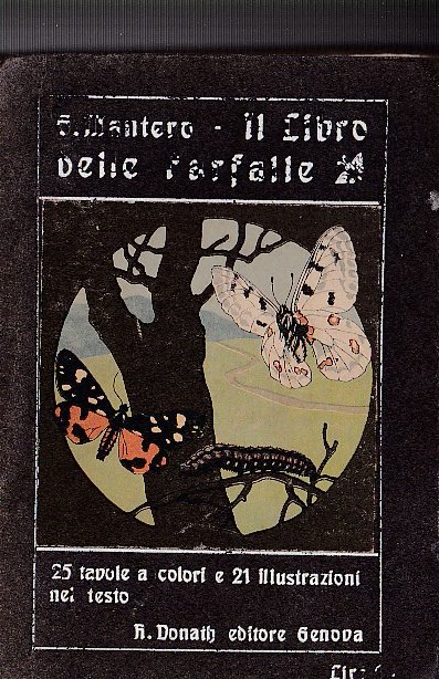 Il libro delle farfalle