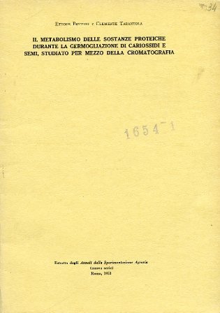 Il metabolismo delle sostanze proteiche durante la germogliazione di cariossidi …
