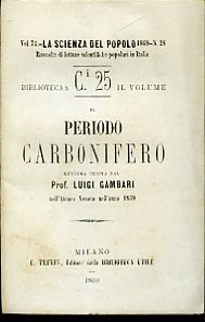 Il periodo carbonifero. Lettura tenuta nell'Ateneo veneto nell'anno 1869