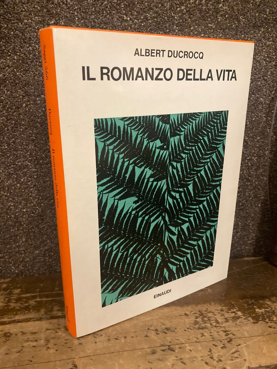Il romanzo della vita. Traduzione di Paola Luraschi | Immagine principale