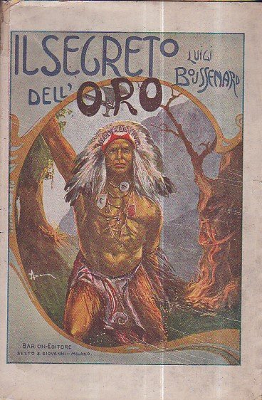 Il Segreto dell'Oro. Romanzo d'avventure