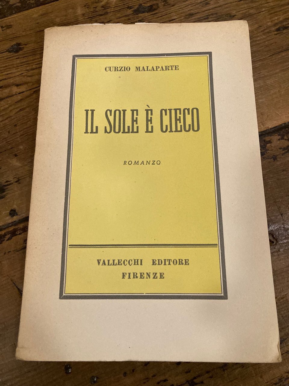 Il sole è cieco. Romanzo