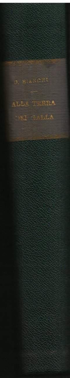 In Abissinia. Alla terra dei Galla. Narrazione della spedizione Bianchi …